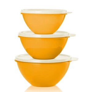 Tupperware Wonderlier Bowls 3-pc Set